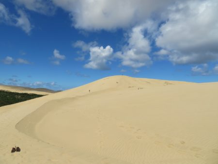 Giant Sand Dunes, NZ