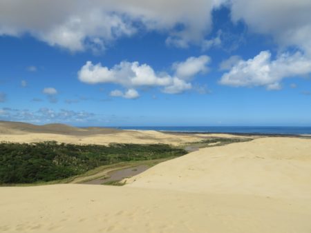 Giant Sand Dunes, NZ