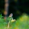 Coaching - (Themen-) Fotografie – Bild 5