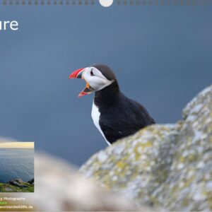 Nature (Kalender 2026)