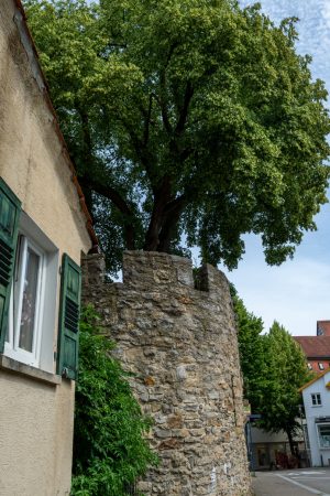 Alte Stadtmauer Waiblingen