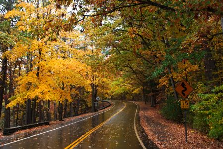 Goldener Herbst im Letchworth SP, NY
#US0011
